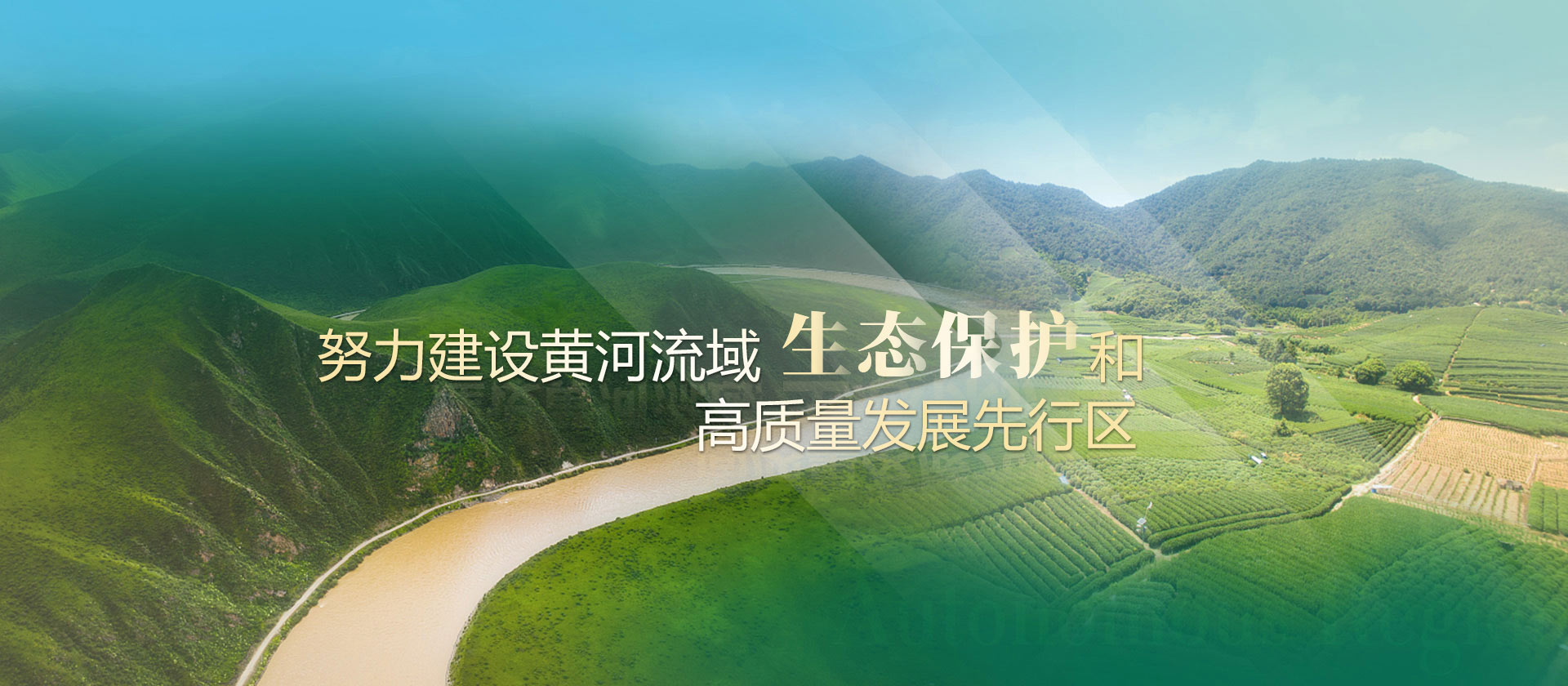 我向海而生，你为梦而来